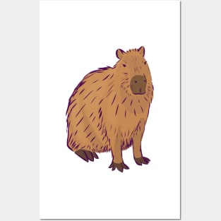 Capybara Posters and Art